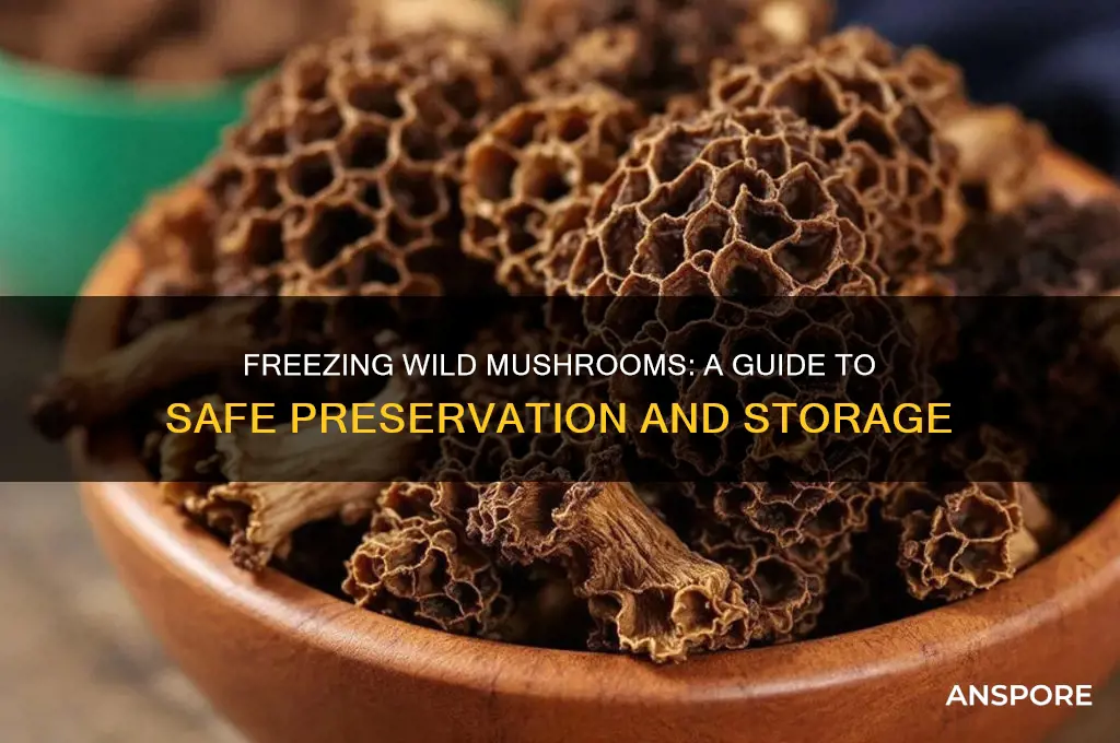 can i freeze wild mushrooms
