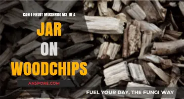 Growing Mushrooms in Jars: Fruiting on Woodchips Made Easy