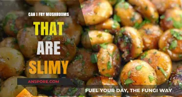 Slimy Mushrooms: Safe to Fry or Toss? Expert Tips Inside