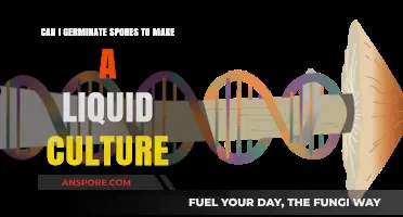 Germinating Spores for Liquid Culture: A Step-by-Step Guide