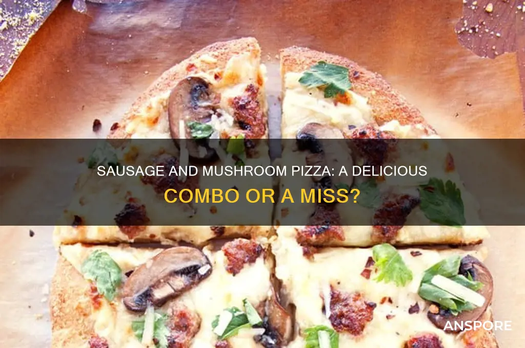 can i get a sausage and mushroom pizza guy