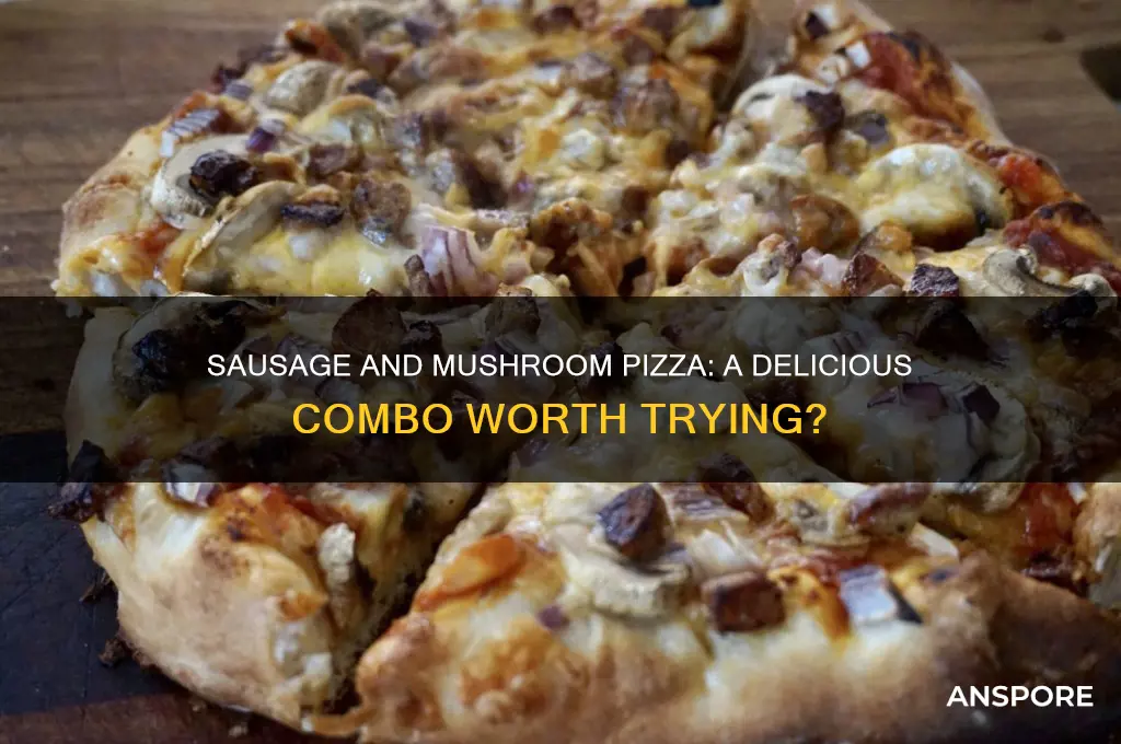 can i get a sausage and mushroom pizza