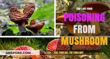 Can Mushrooms Cause Food Poisoning? Risks and Safe Consumption Tips