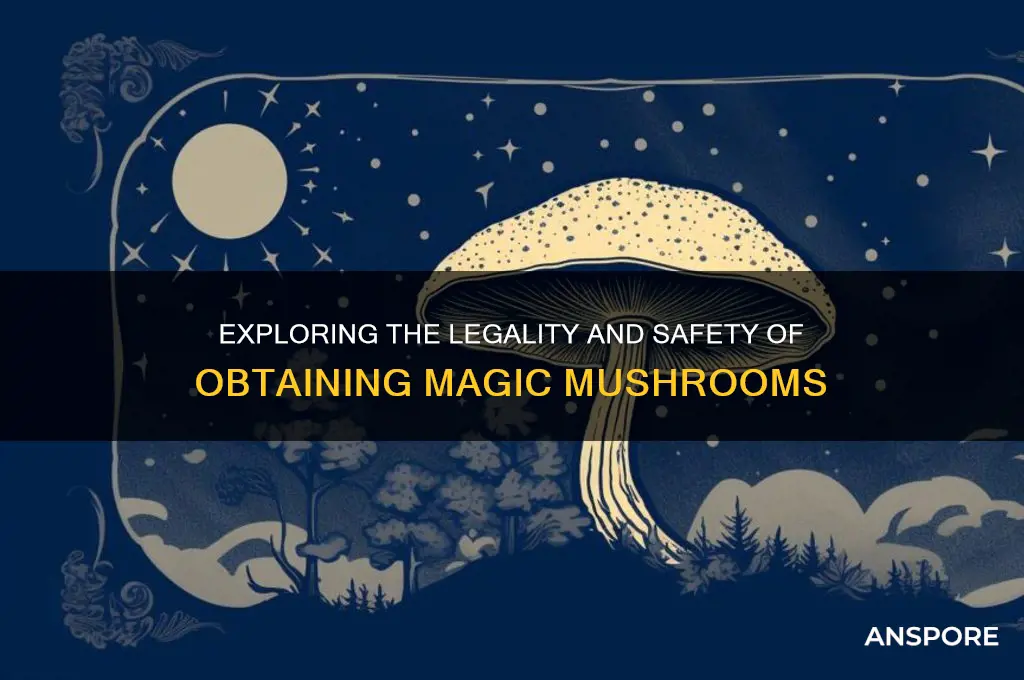 can i get magic mushrooms