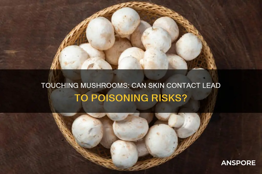 can i get mushroom poisoning by touching a mushroom