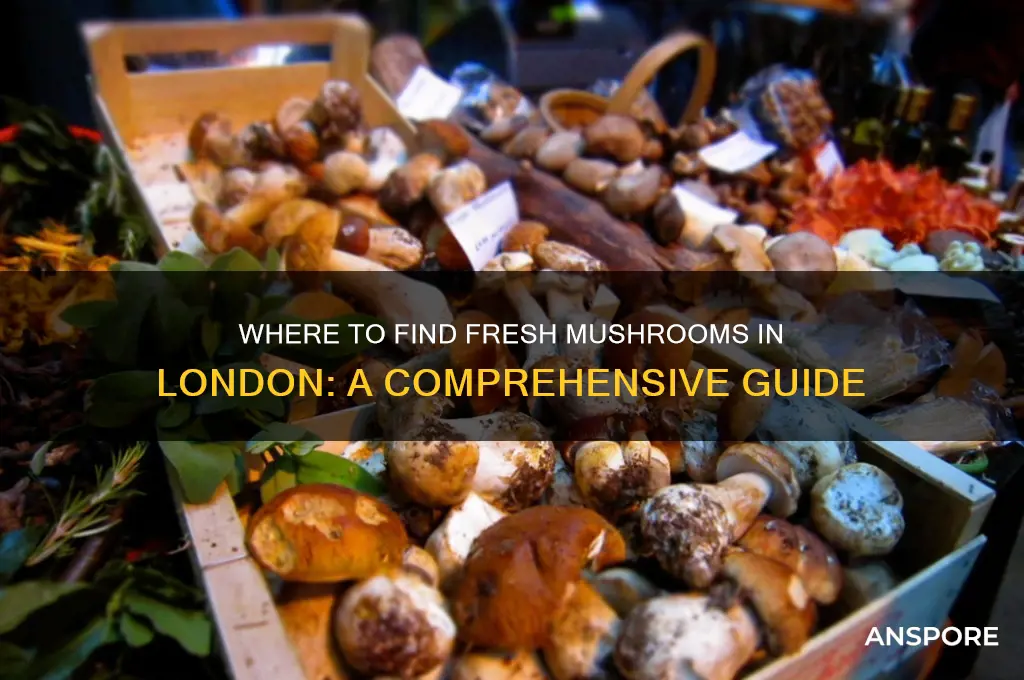 can i get mushrooms in london