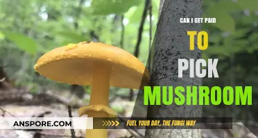 Earning Money Foraging: Can You Get Paid to Pick Mushrooms?