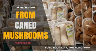 Canned Mushrooms: A Surprising Source of Potassium in Your Pantry?
