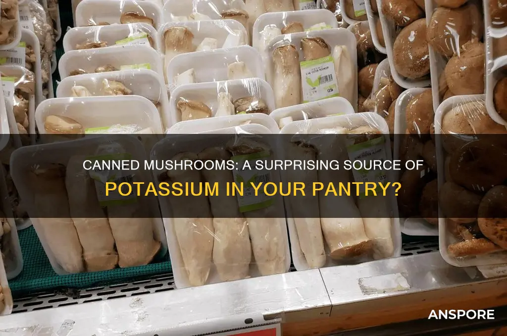 can i get potassium from caned mushrooms