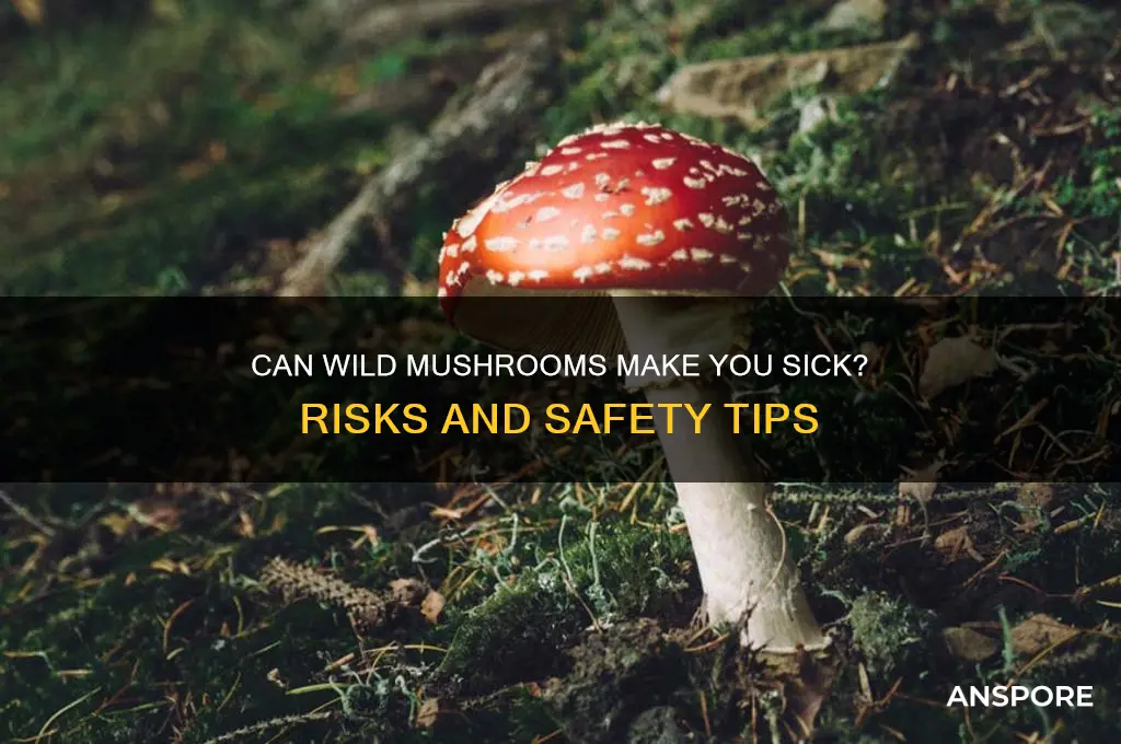can i get sick from eating wild mushrooms