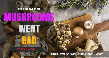 Spoiled Mushrooms: Risks of Eating Bad Fungi and How to Avoid Illness