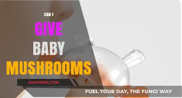 Can Babies Eat Mushrooms? A Safe and Nutritious Guide for Parents
