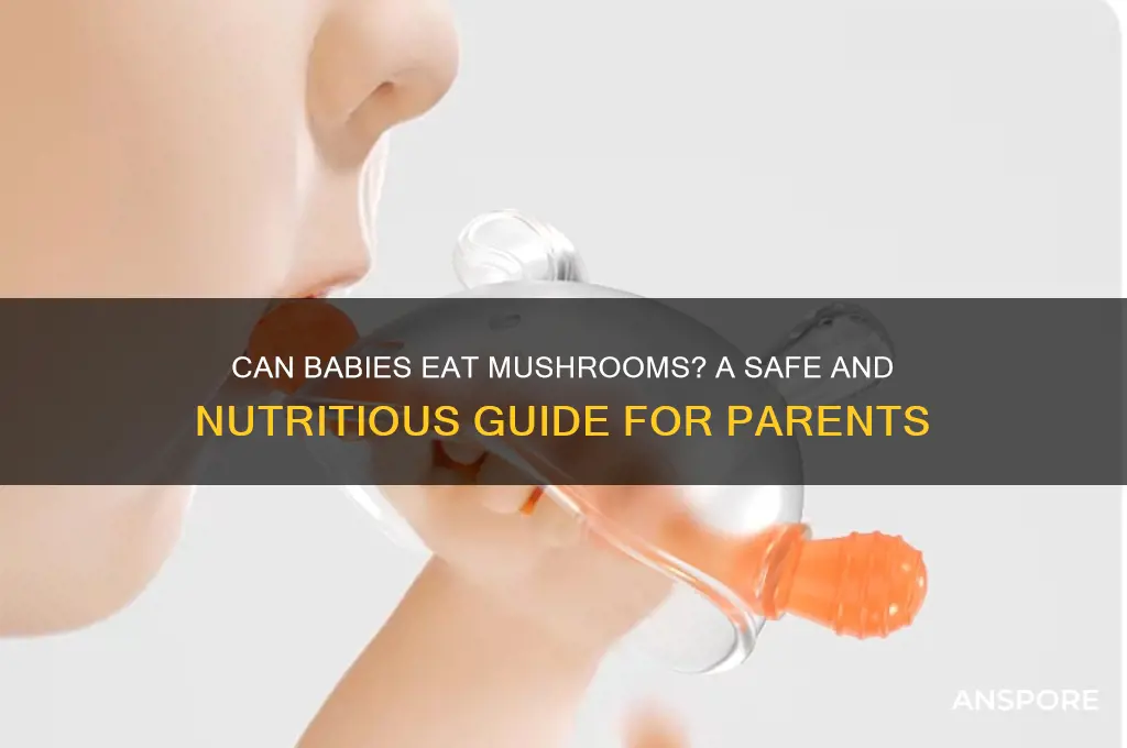 can i give baby mushrooms