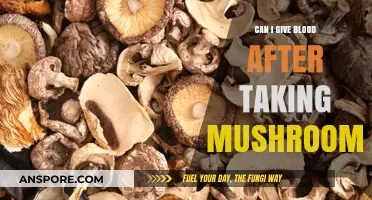 Can You Donate Blood After Consuming Magic Mushrooms? Find Out