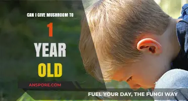 Introducing Mushrooms to Toddlers: Safe or Risky for 1-Year-Olds?