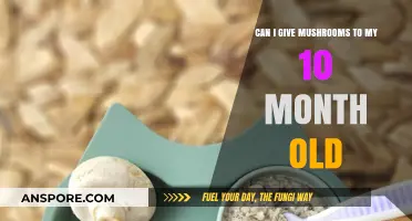 Mushrooms for Babies: Safe or Not at 10 Months?