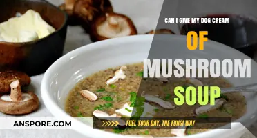 Is Cream of Mushroom Soup Safe for Dogs? A Pet Owner's Guide