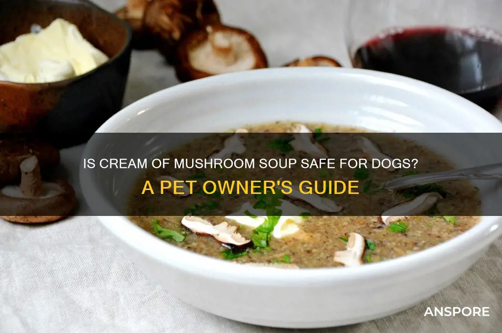can i give my dog cream of mushroom soup