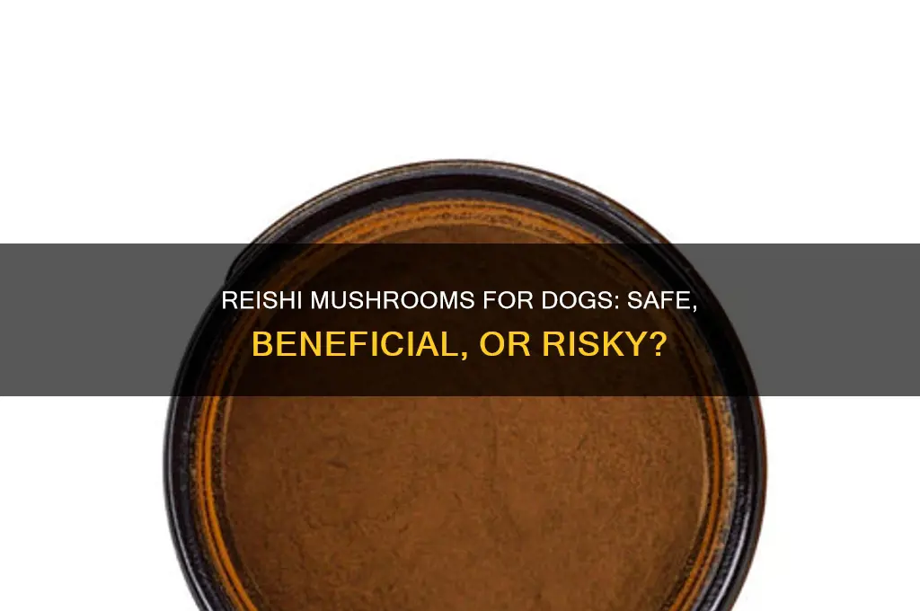 can i give my dog reishi mushroom