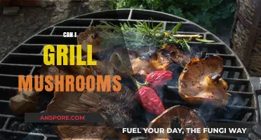 Grilling Mushrooms: Tips, Tricks, and Delicious Recipes to Try