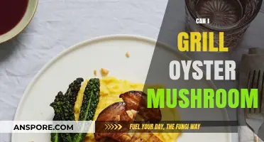 Grilling Oyster Mushrooms: Tips, Tricks, and Delicious Recipes to Try