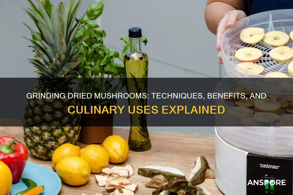 can i grind dried mushrooms