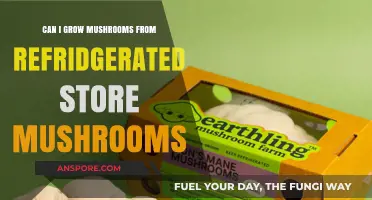 Growing Mushrooms from Store-Bought Refrigerated Varieties: Is It Possible?