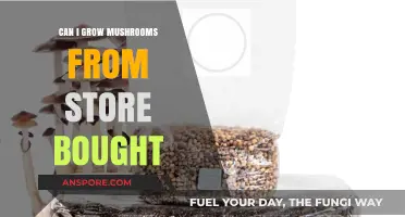 Growing Mushrooms from Store-Bought Produce: A Beginner's Guide