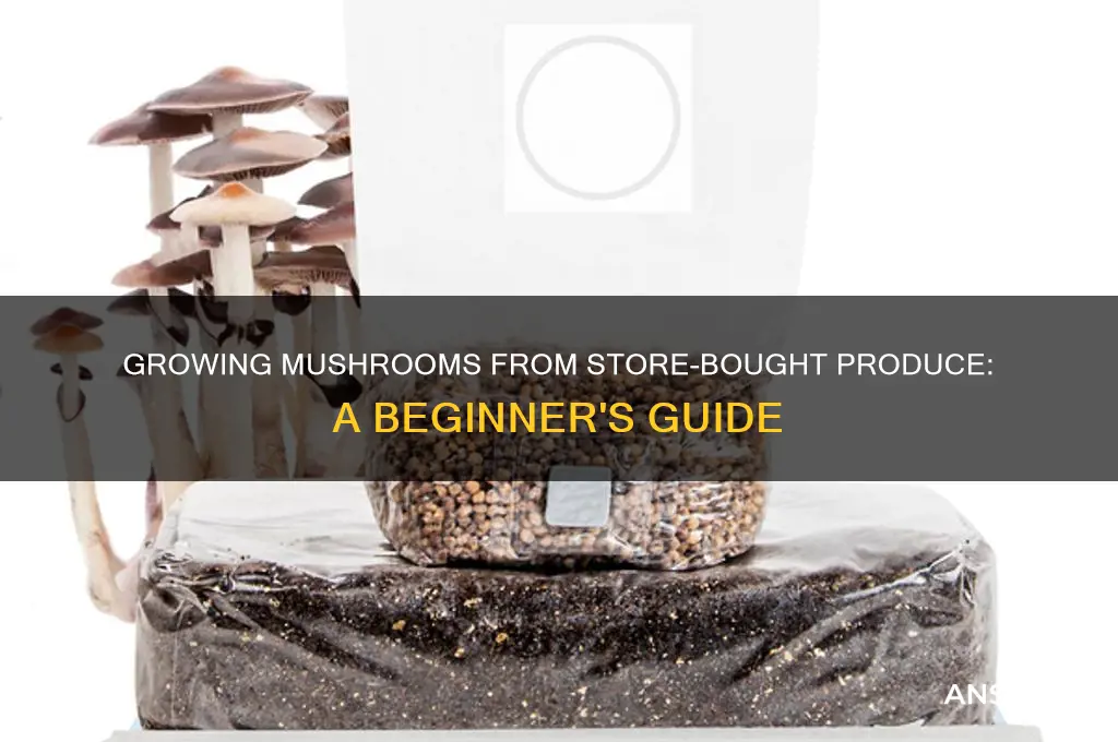 can i grow mushrooms from store bought