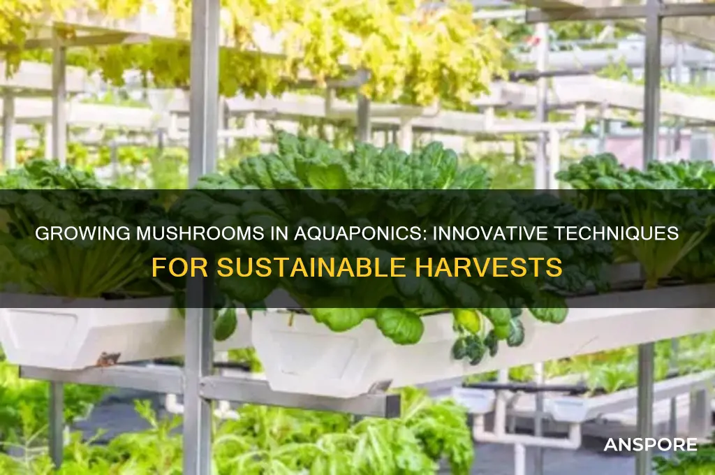 can i grow mushrooms in a aquaponic