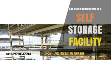 Growing Mushrooms in Self Storage: Feasible or Fantasy?
