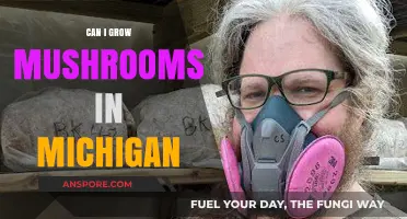 Growing Mushrooms in Michigan: Tips for Successful Cultivation at Home