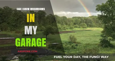 Garage Mushroom Farming: A Beginner's Guide to Growing Mushrooms at Home