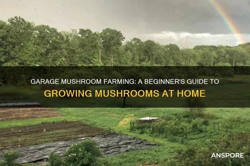 can i grow mushrooms in my garage