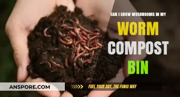 Mushroom Cultivation in Worm Compost Bins: A Feasible Gardening Hack?