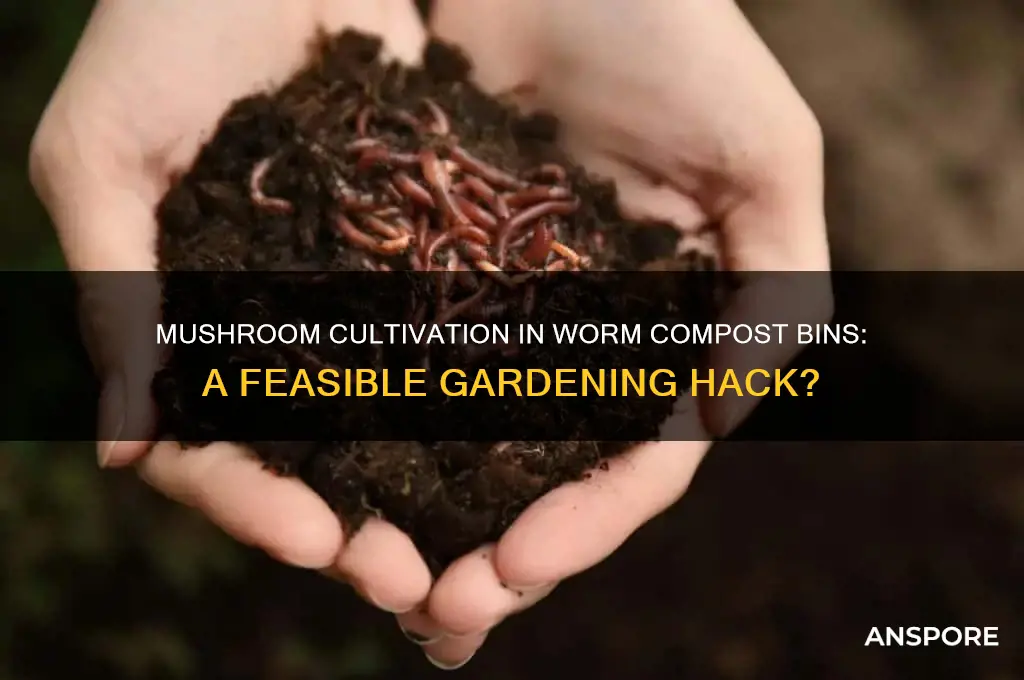 can i grow mushrooms in my worm compost bin