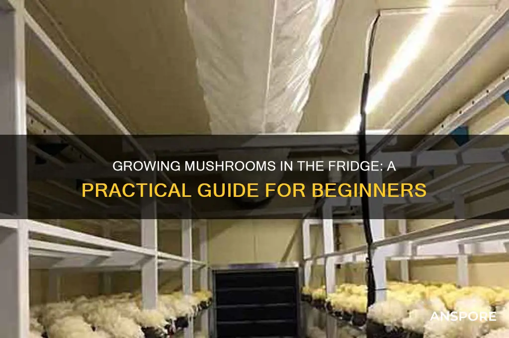 can i grow mushrooms in the fridge