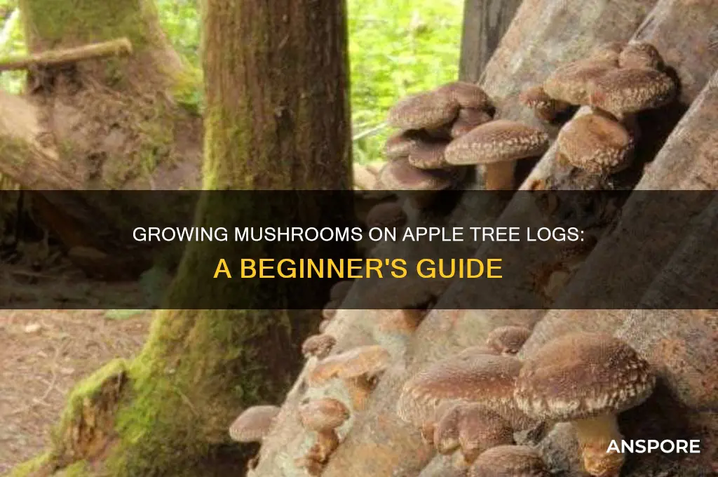 can i grow mushrooms on apple tree logs