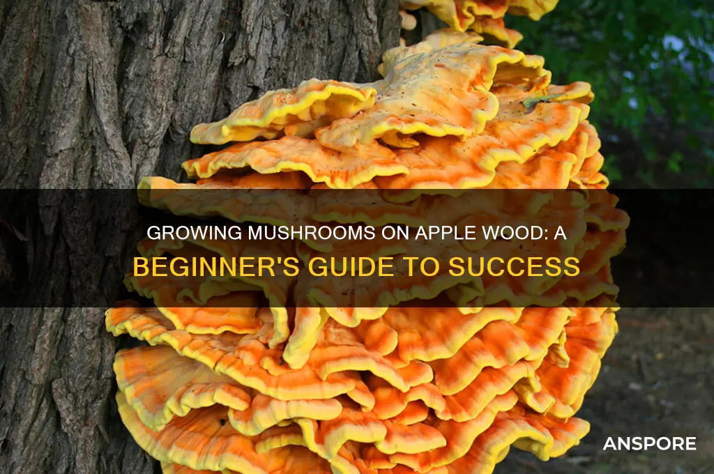 can i grow mushrooms on apple wood