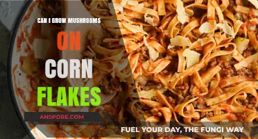Growing Mushrooms on Corn Flakes: A Creative Substrate Experiment