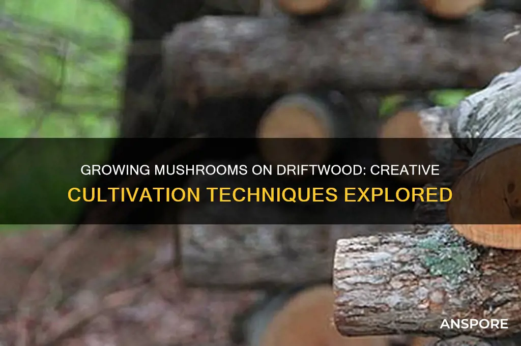 can i grow mushrooms on driftwood