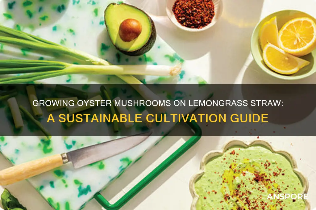 can i grow oyster mushrooms on lemongrass straw