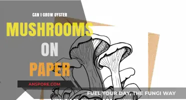 Growing Oyster Mushrooms on Paper: A Creative Substrate Guide