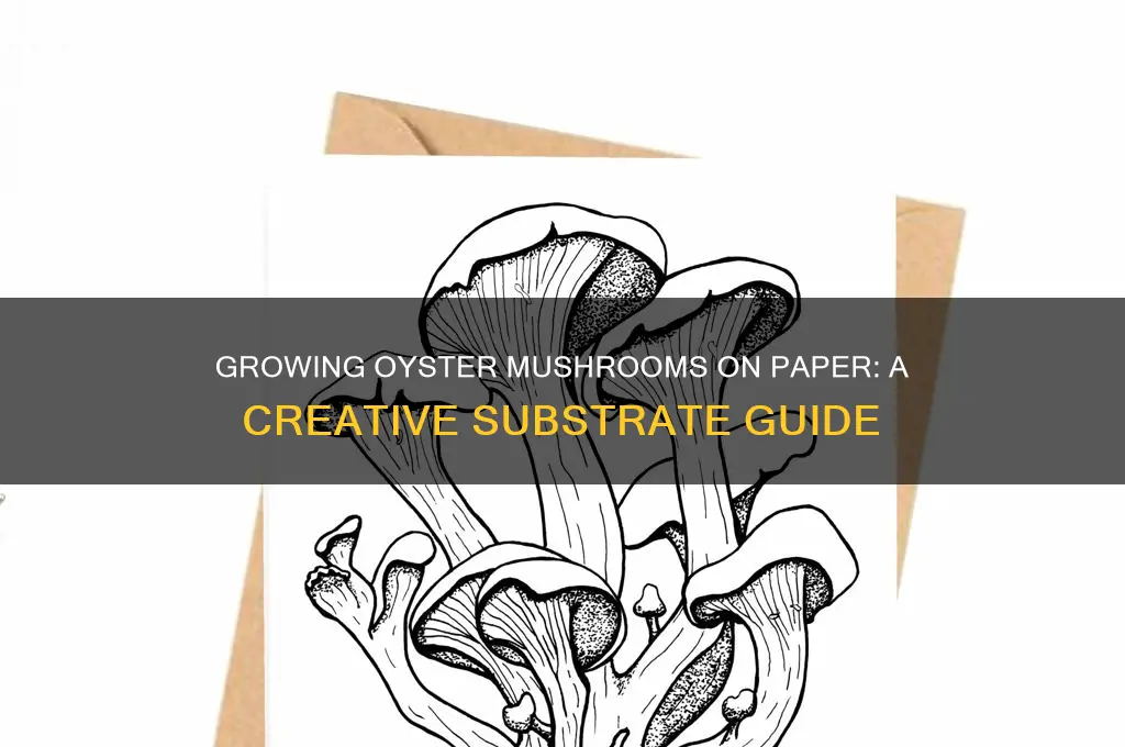 can i grow oyster mushrooms on paper