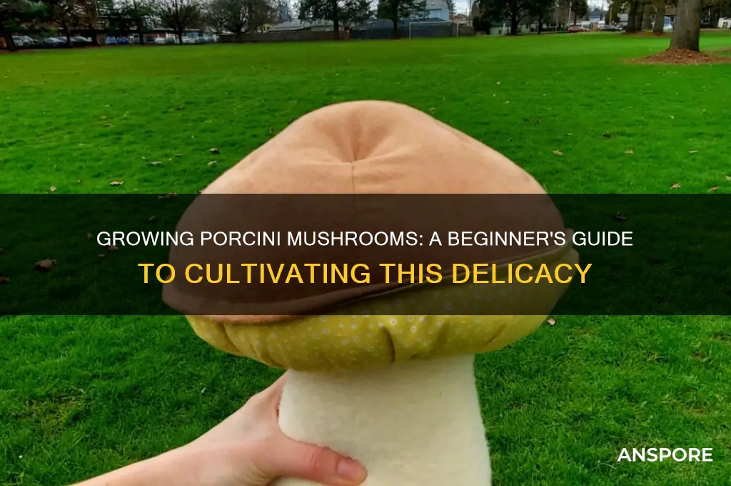 can i grow porcini mushrooms