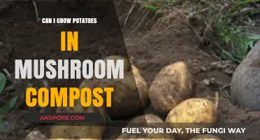 Growing Potatoes in Mushroom Compost: Benefits, Tips, and Best Practices