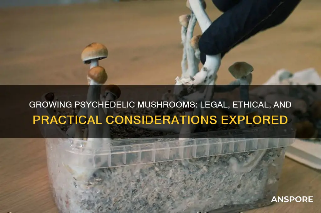 can i grow psychedelic mushrooms