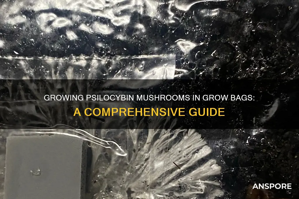 can i grow psylosobin mushrooms in a grow bag