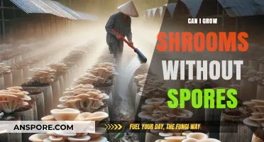 Growing Mushrooms Without Spores: Alternative Methods Explored