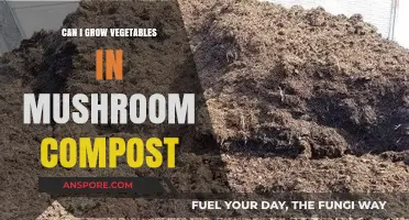 Growing Vegetables in Mushroom Compost: Benefits, Tips, and Best Practices